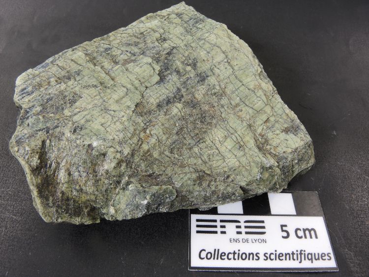 Serpentinite Péridotite serpentinisée de l’ophiolite de Chamrousse Alpes Ophiolite de Chamrousse Chamrousse Col des Lessines